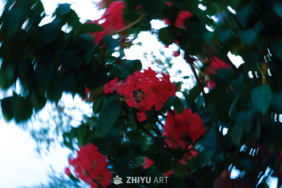 红花绿叶的自然之美