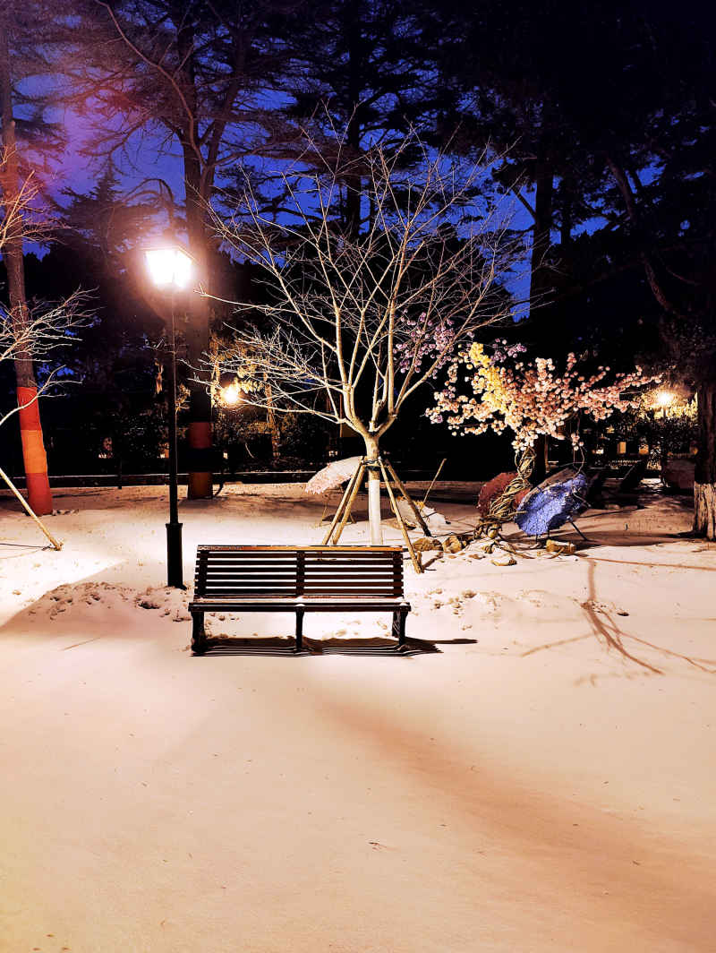 雪夜长椅