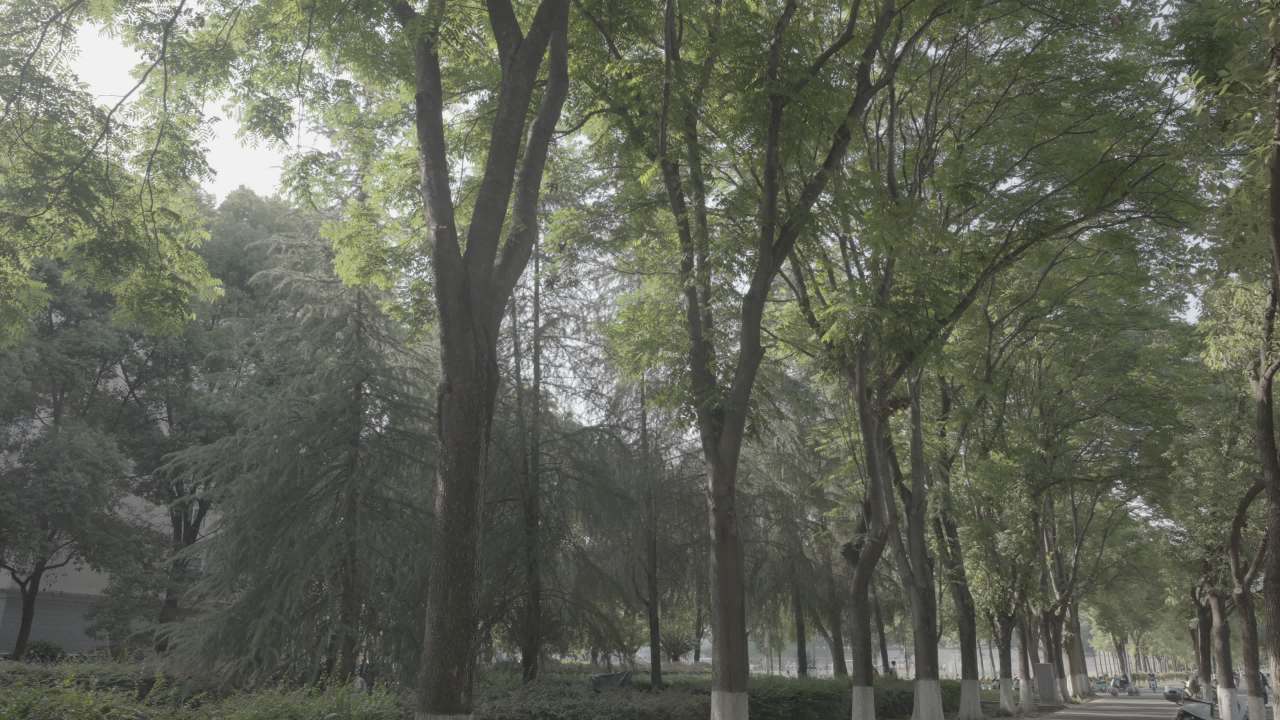 宜昌江边 88