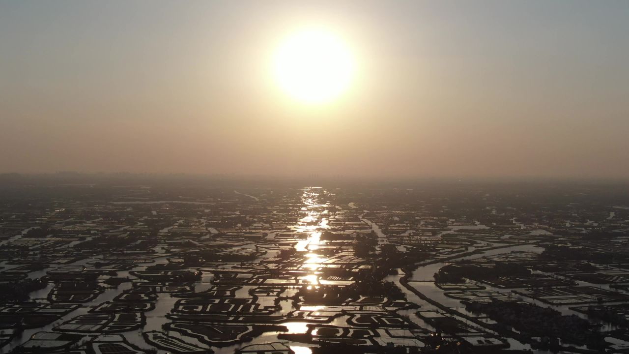 航拍水稻田