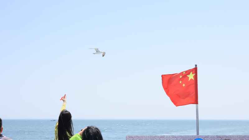 国旗+海鸥系列 爱国氛围感拉满 2