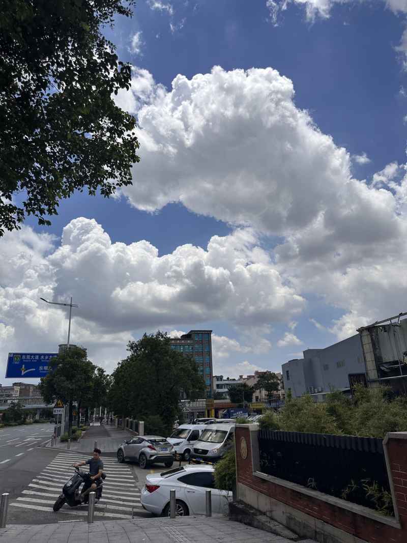 南方集云 4