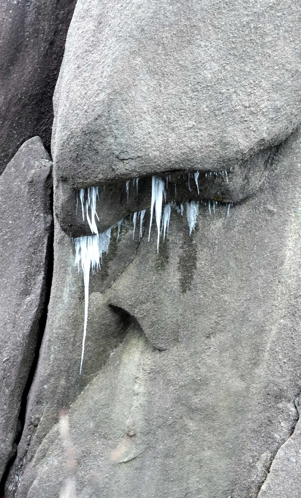 雪落黄山，雾凇云海——雪篇