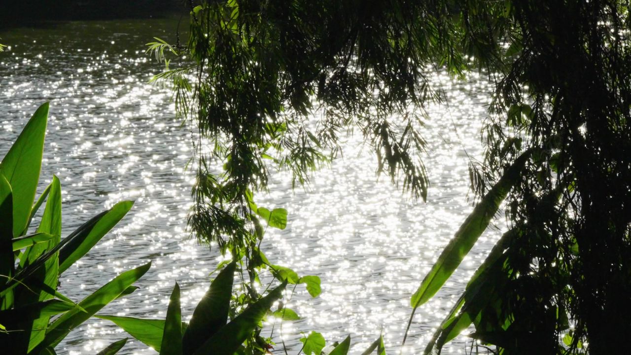 唯美阳光投射在湖面上