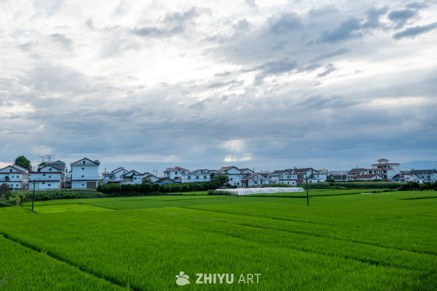 城市风景 49