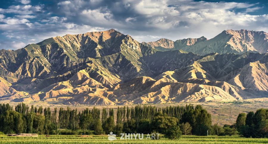 M3_01879 拷贝-DeNoiseAI-clear