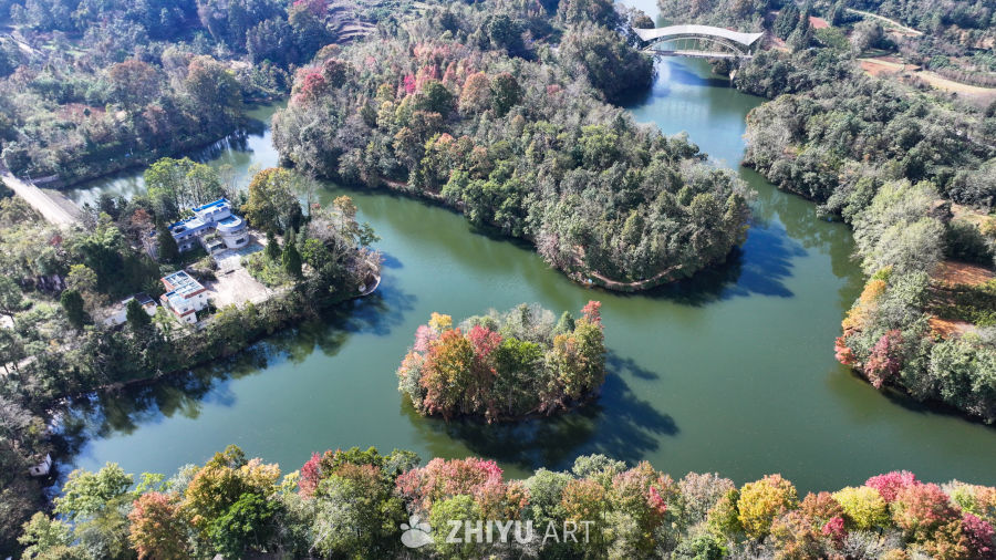 航拍水边枫叶美景  初冬枫叶似火 12