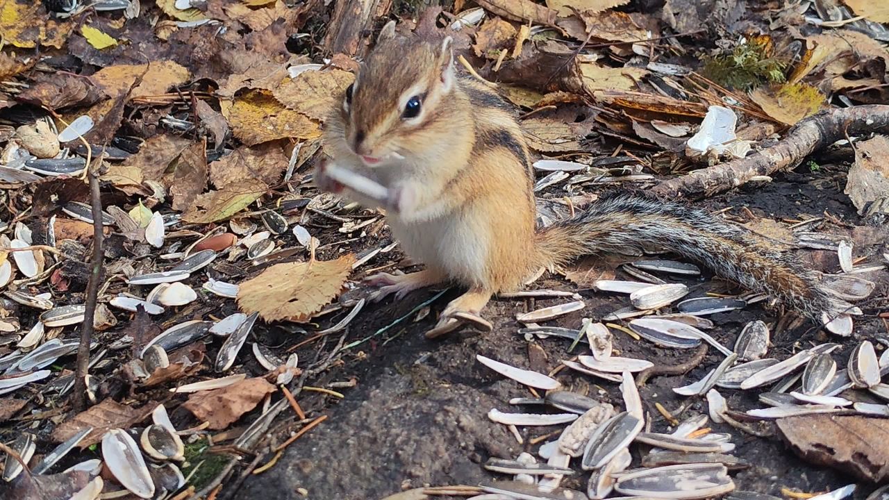VID_20250926_140802 1