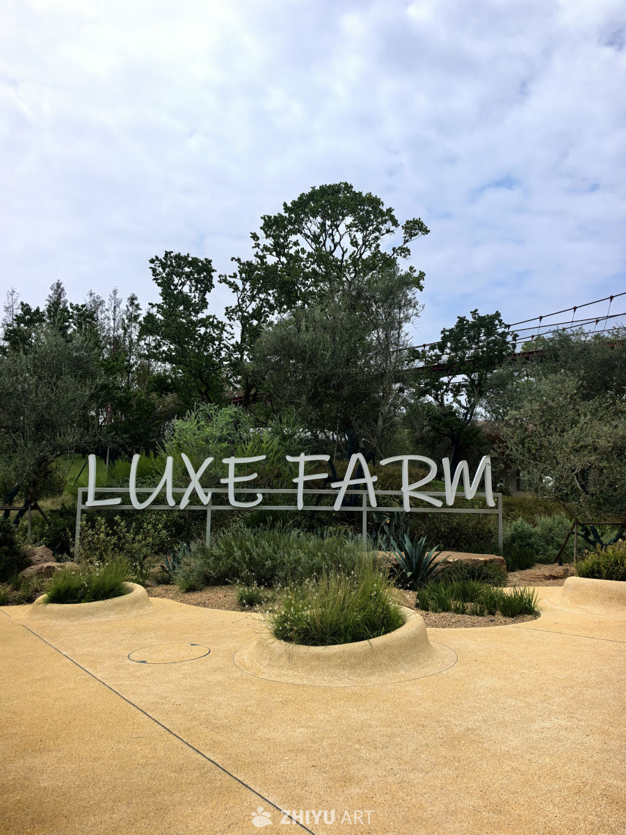 武汉麓客岛的小动物们