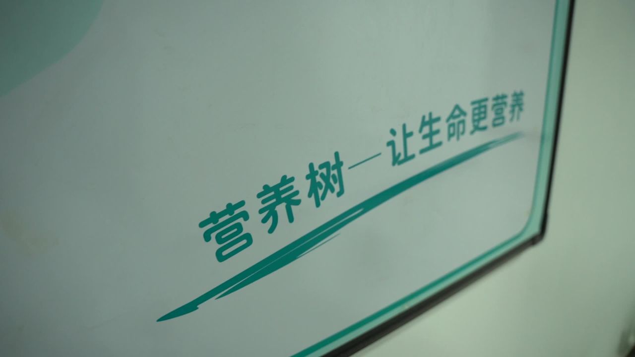 公司 6