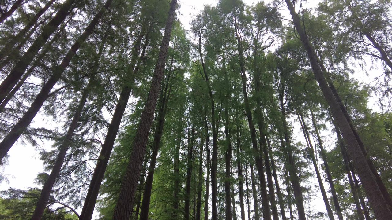 无锡太湖鼋头渚风景区
