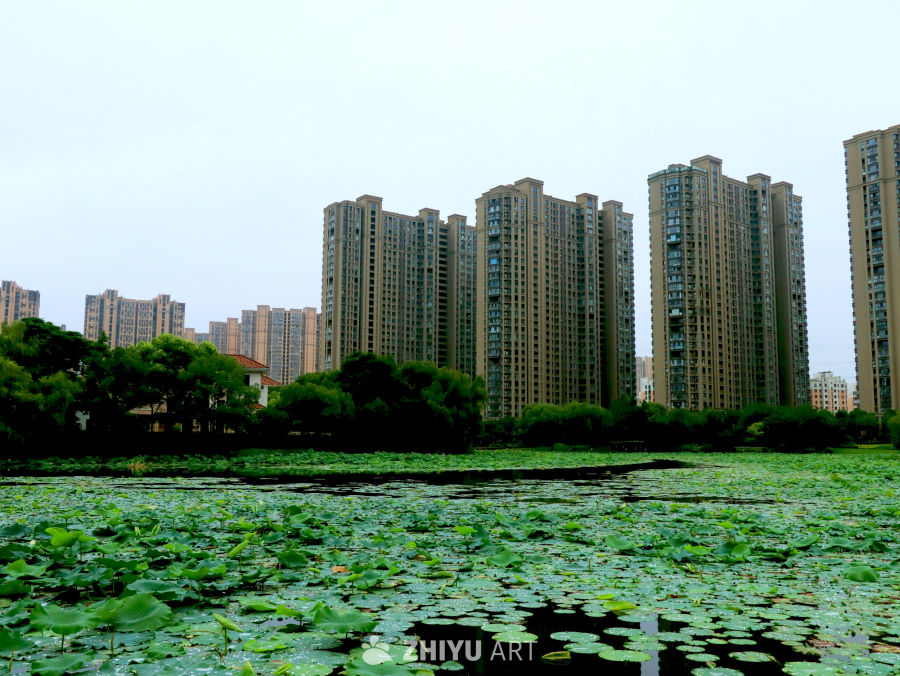 盛夏时光的湖畔城市