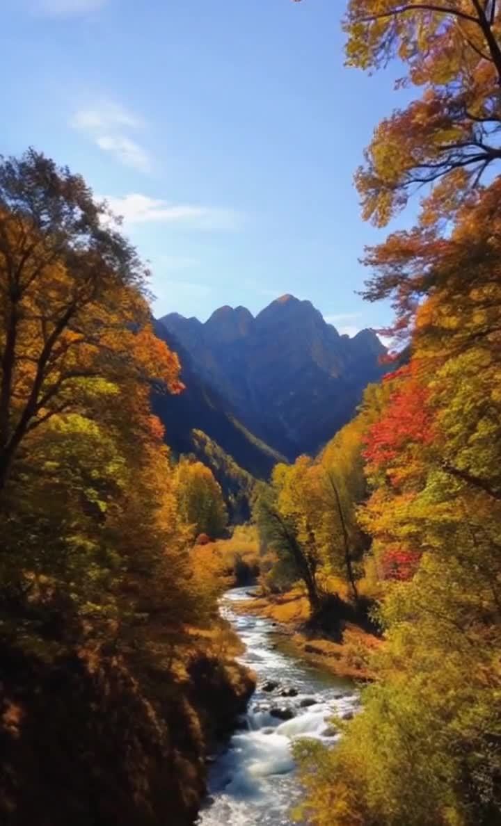 秋日阳光洒满山河，树木河流美景如画。