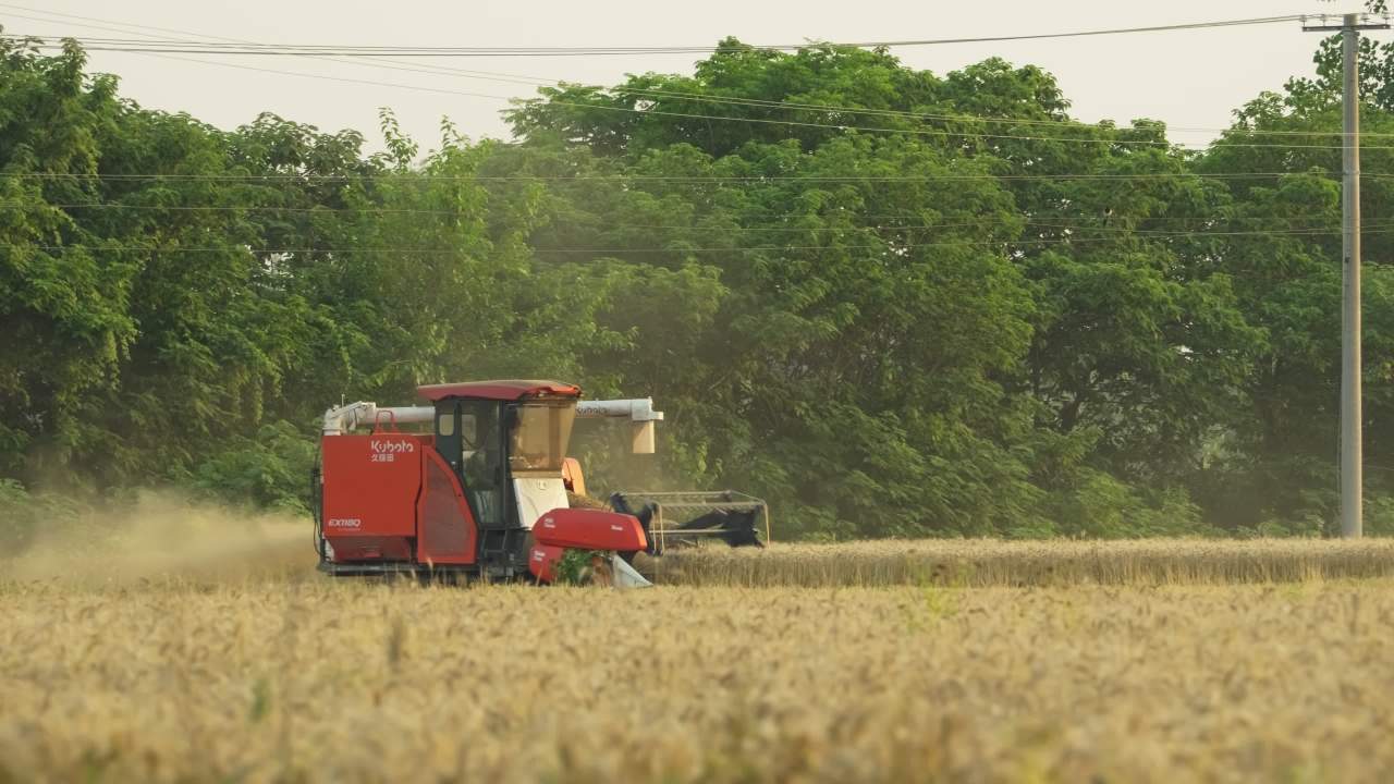 农用机械收割机三农丰收 22