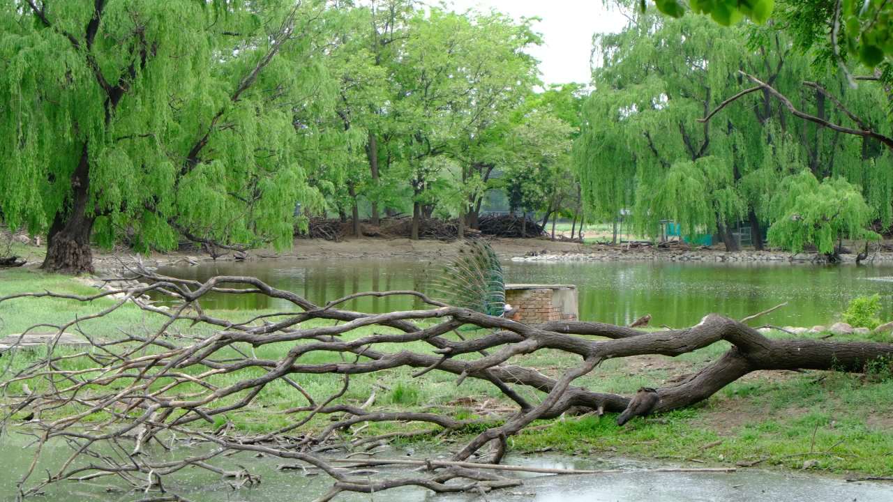 南海子公园 1