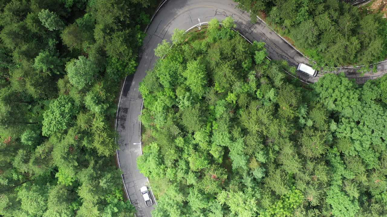 森林中的蜿蜒之路