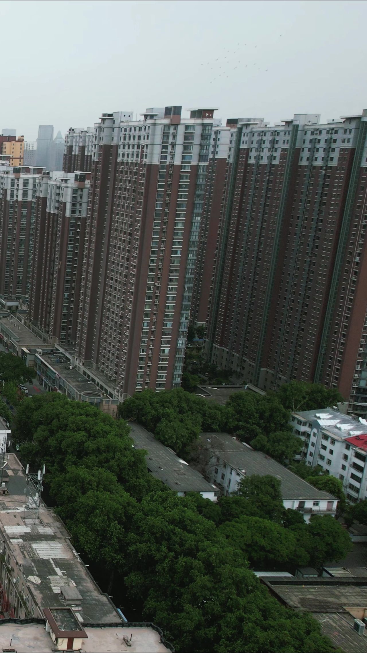 河北邯郸城市风光竖屏航拍 