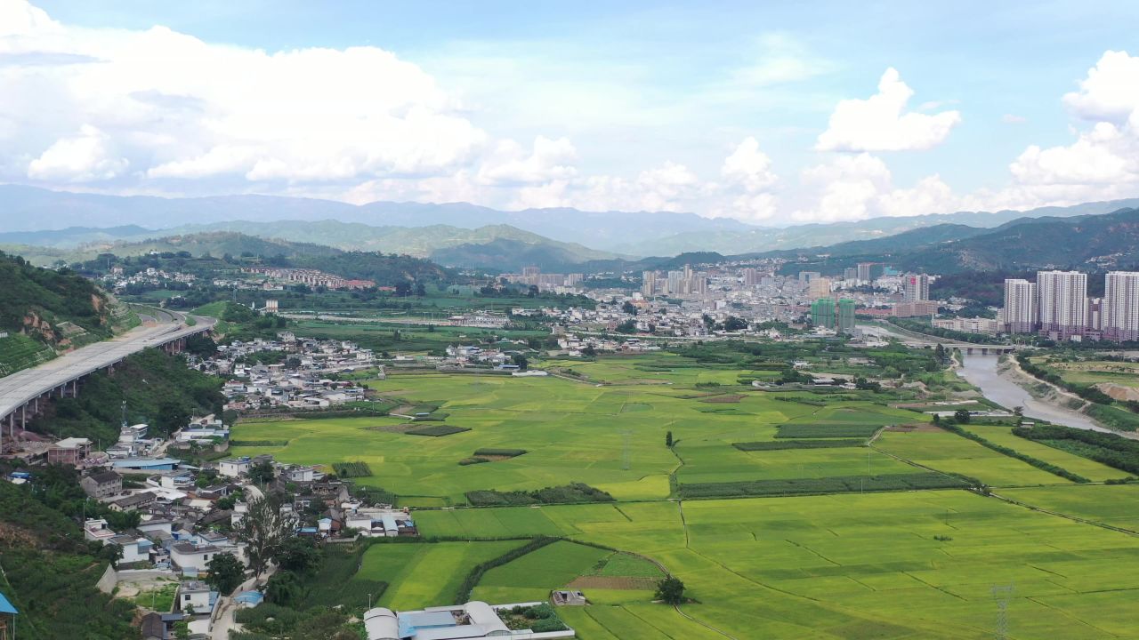 城市、稻田 12