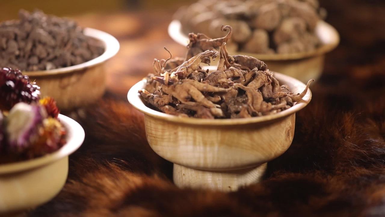 高原药材