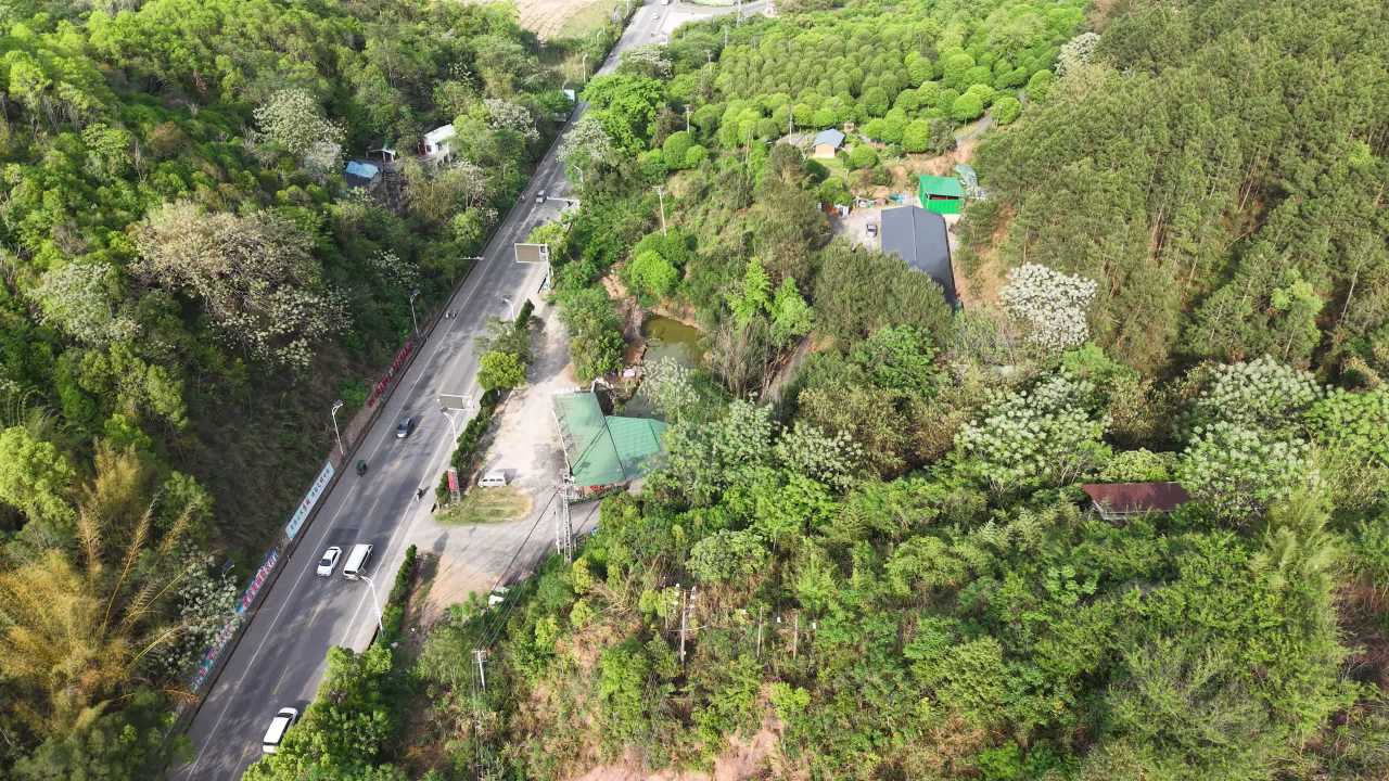 公路 7