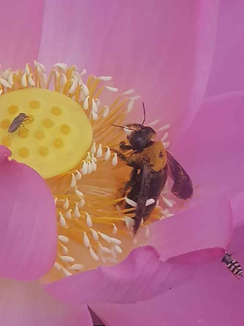 足吃足喝