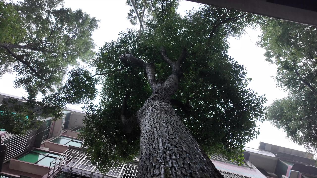 长沙 18
