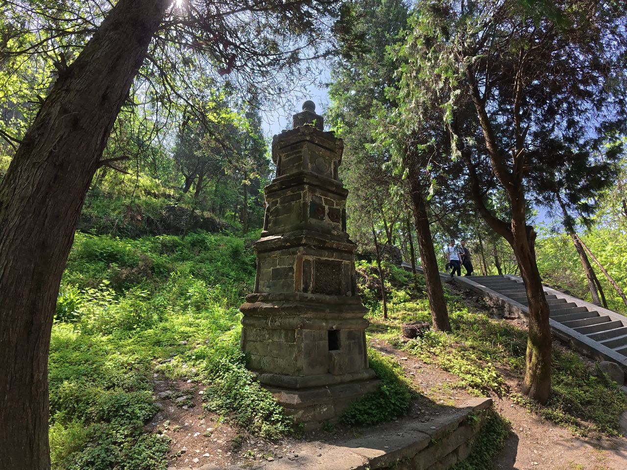 古塔静谧森林