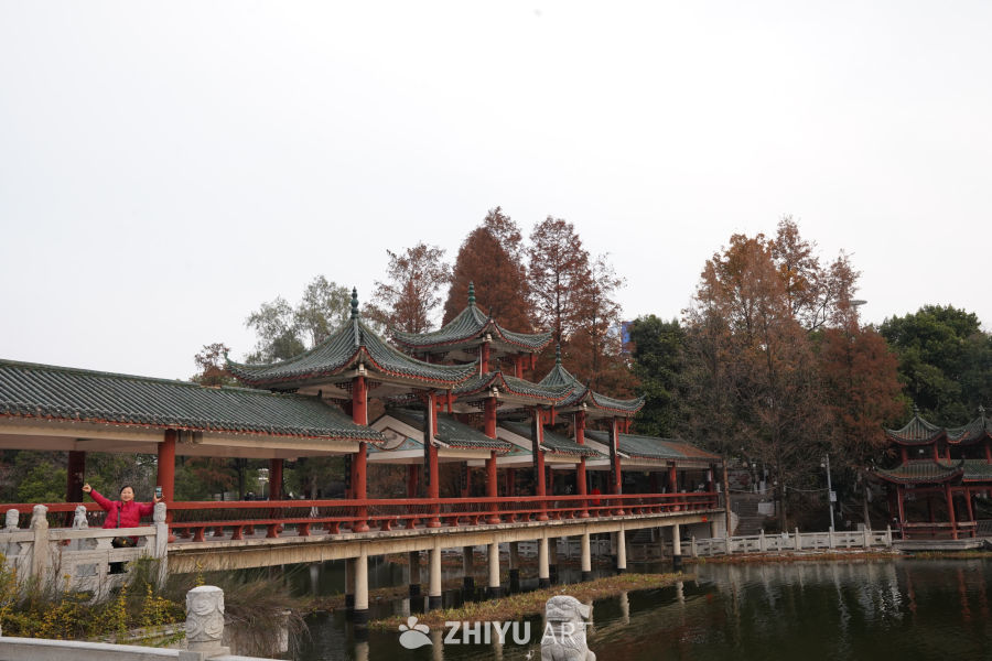 亭阁 18