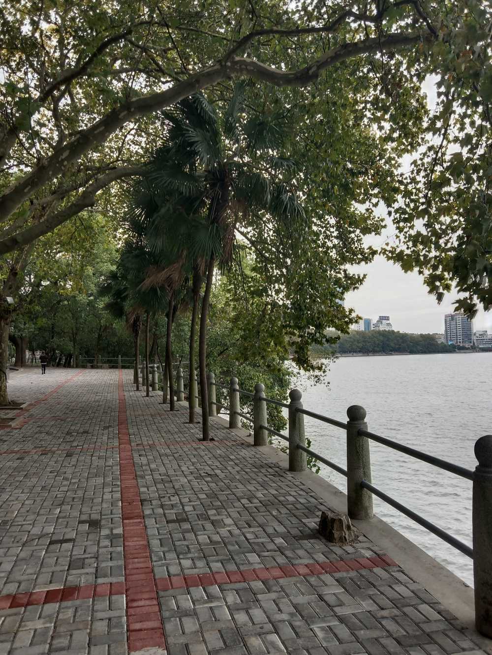 风景2