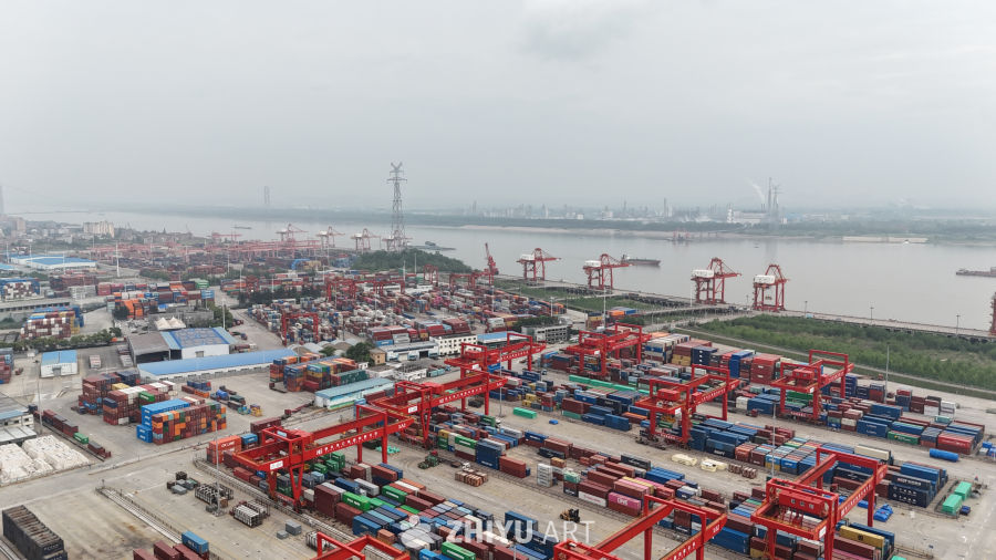 武汉阳逻港区 4