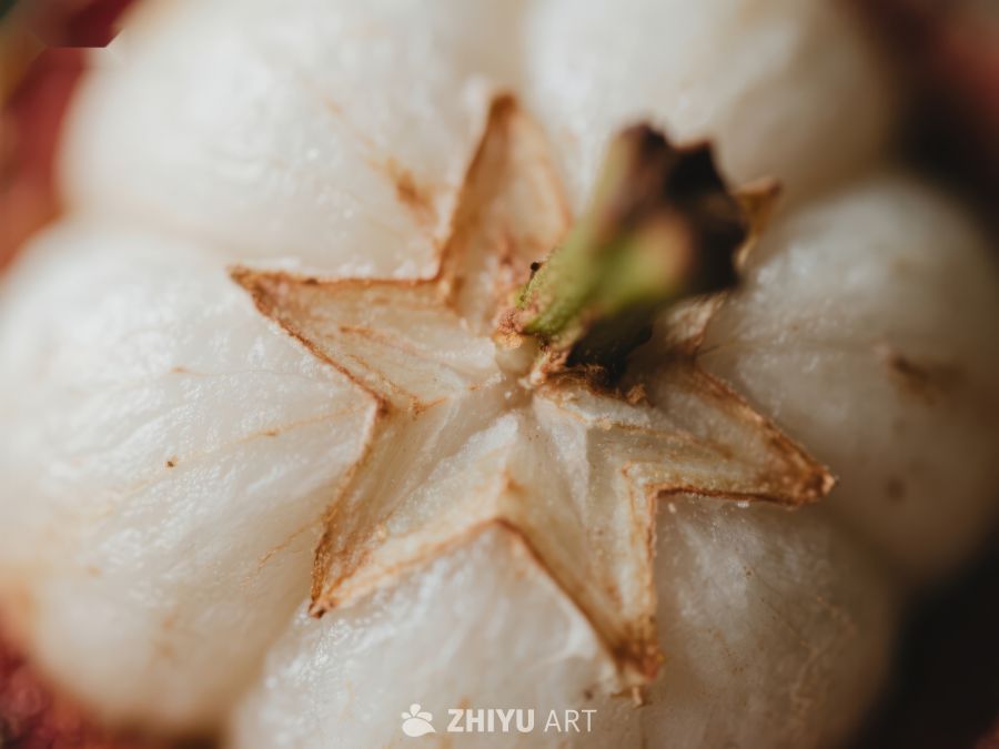 新鲜水果切面特写 706