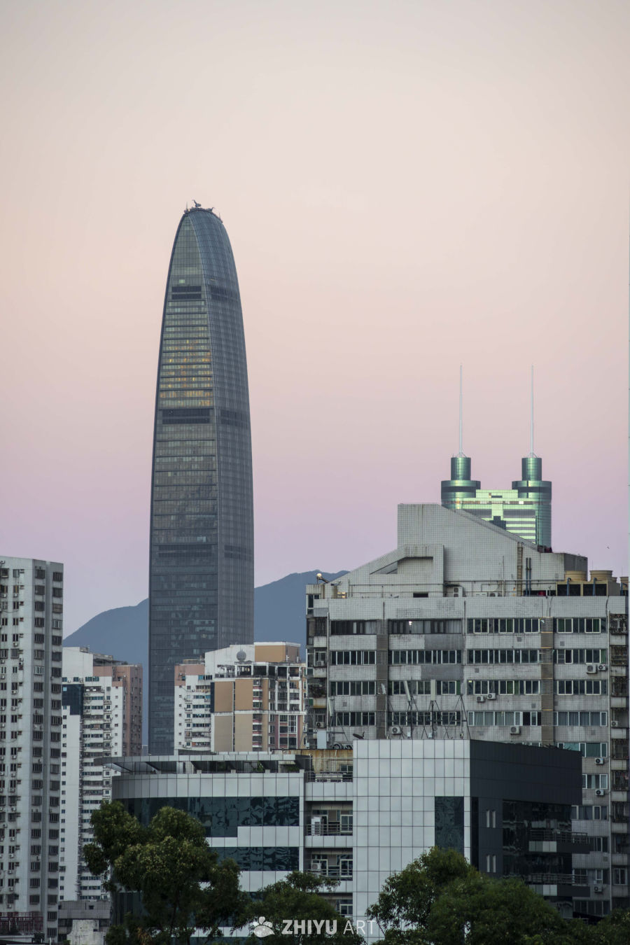 维纳斯带