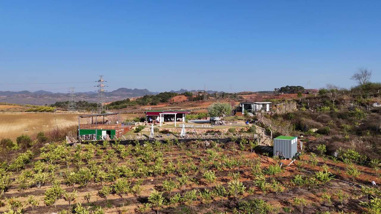 乡村果园全景