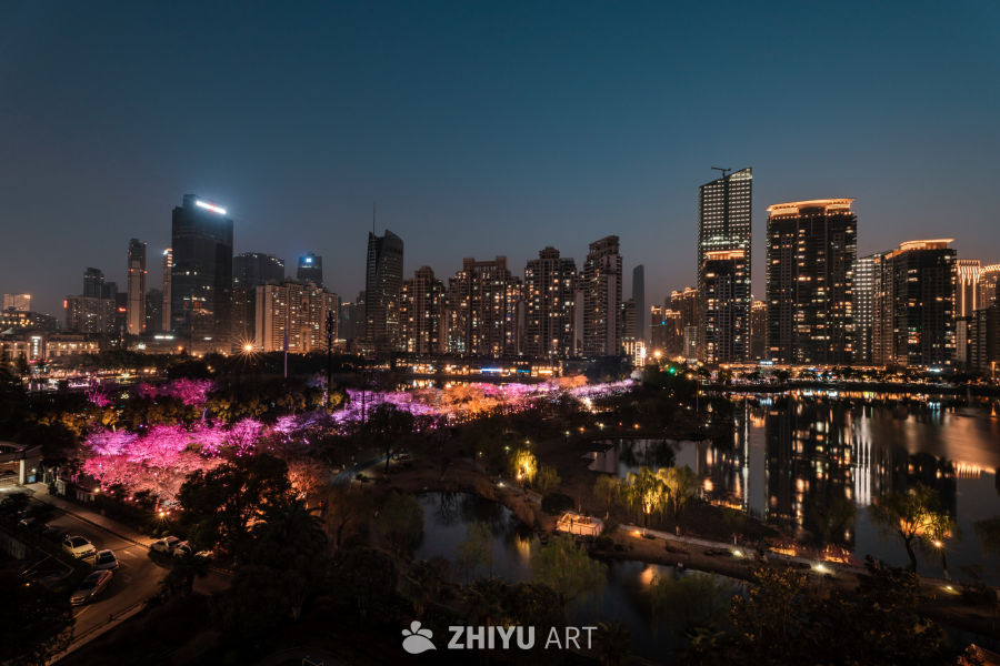 武汉西北湖樱花夜景