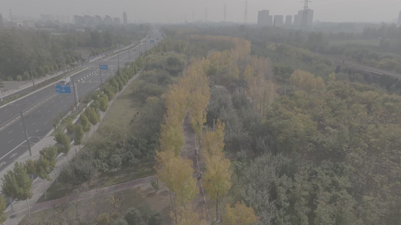 城市绿洲