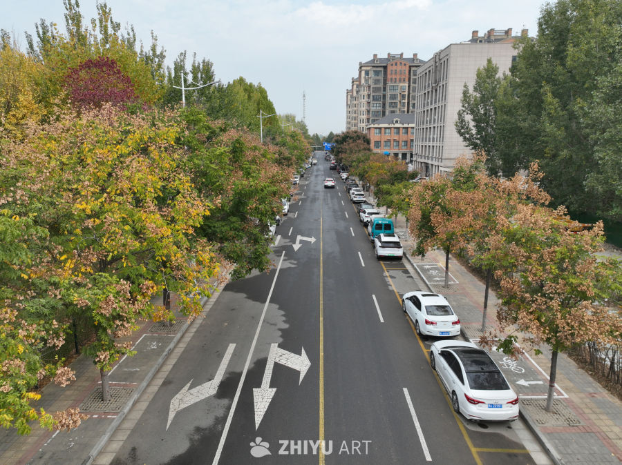 城市秋日街景
