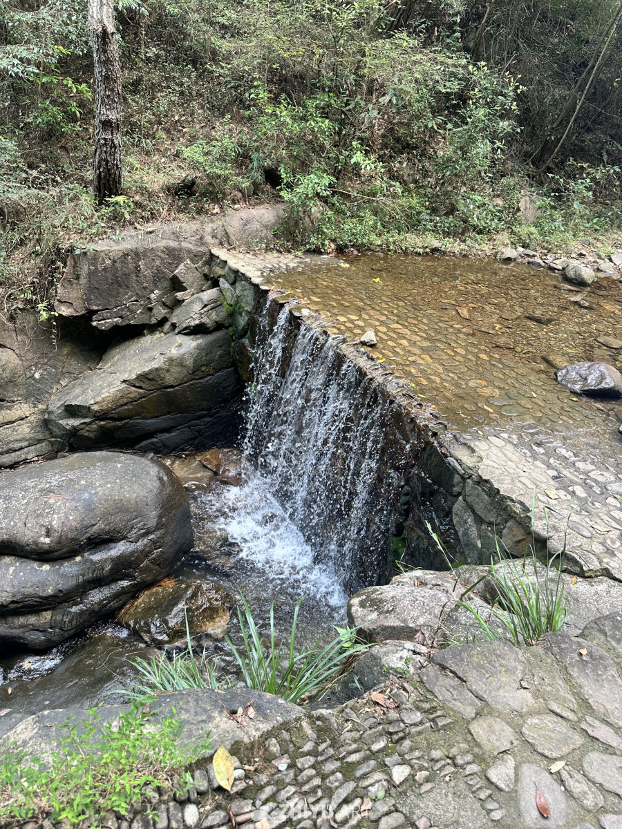 桐庐大奇山森林公园 4