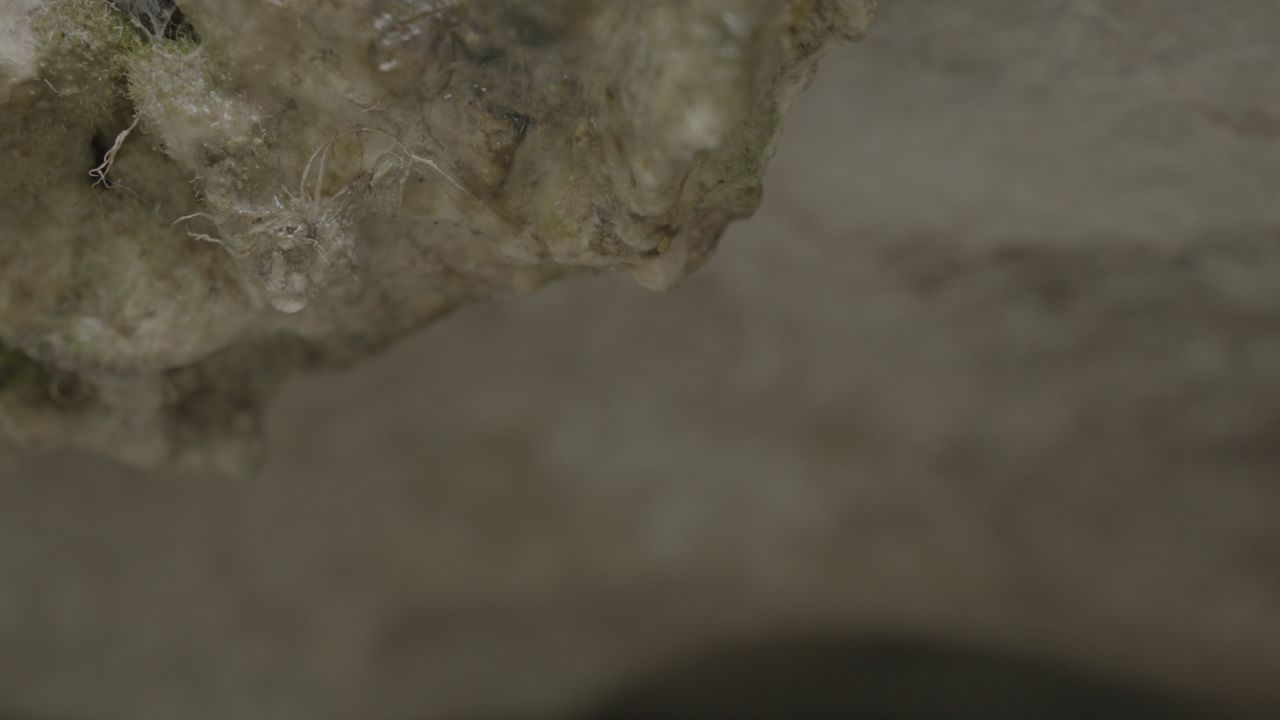 天坑 24