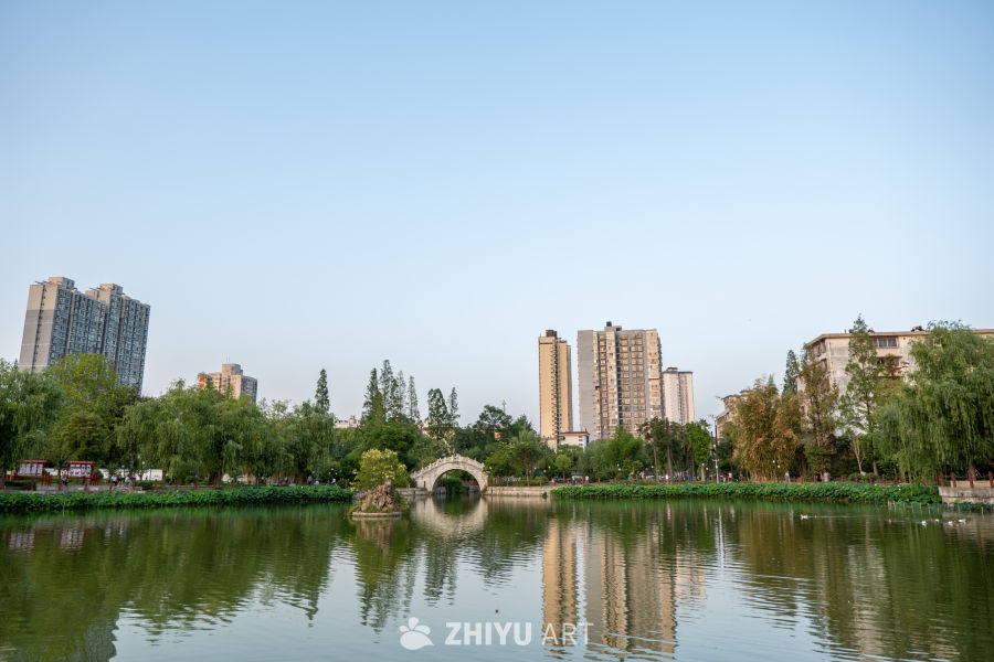 公园一角 21