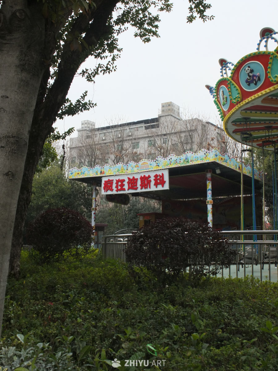植物 17