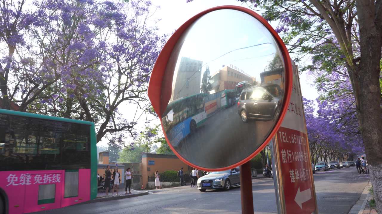 城市街道的繁忙与自然之美