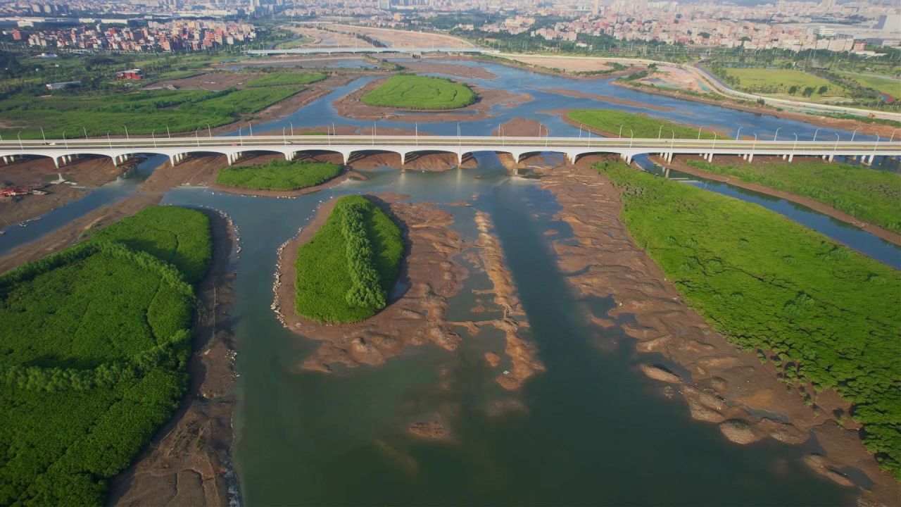 厦门航拍下潭尾湿地公园