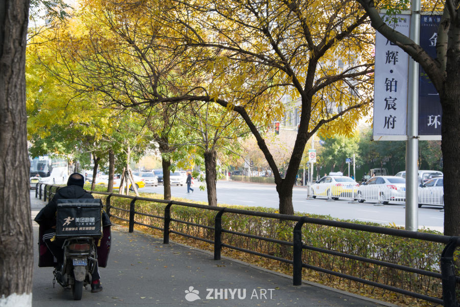 城市秋景