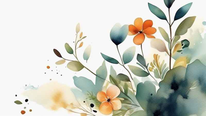 极简主义元素花朵和树枝插画