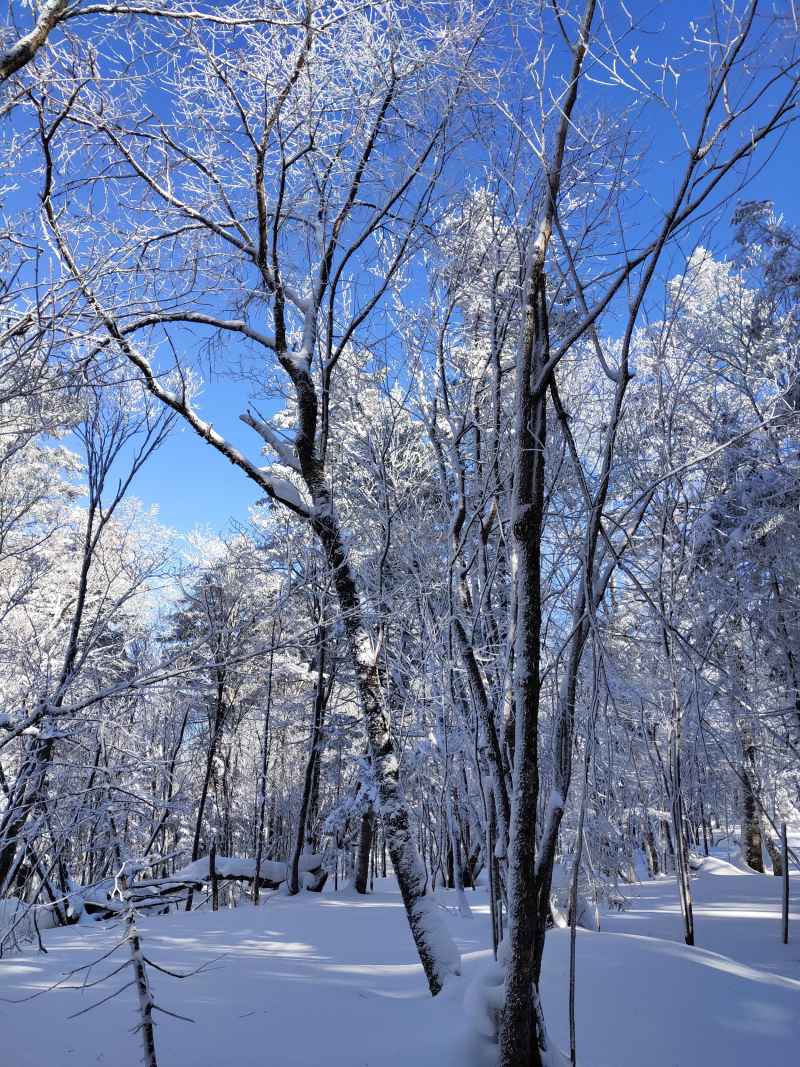 雪