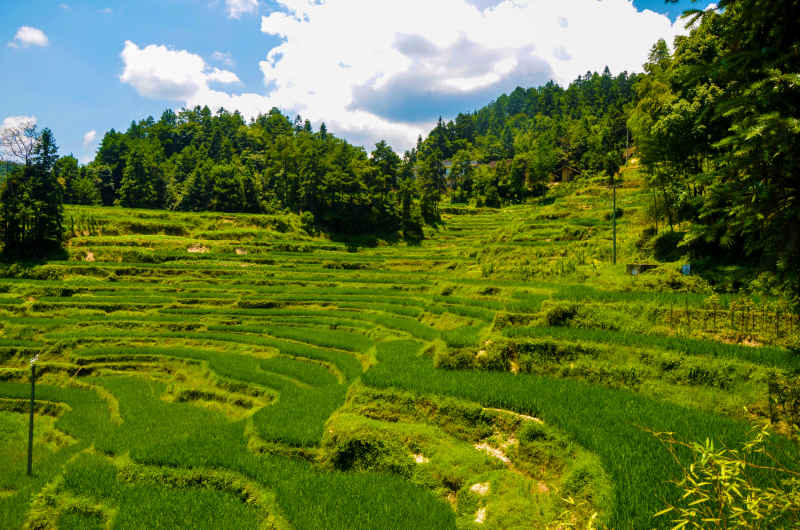 湖南邵阳大山里的梯田