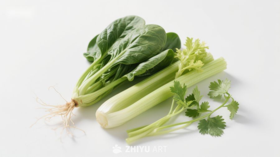 新鲜蔬菜组合：菠菜、芹菜与香菜