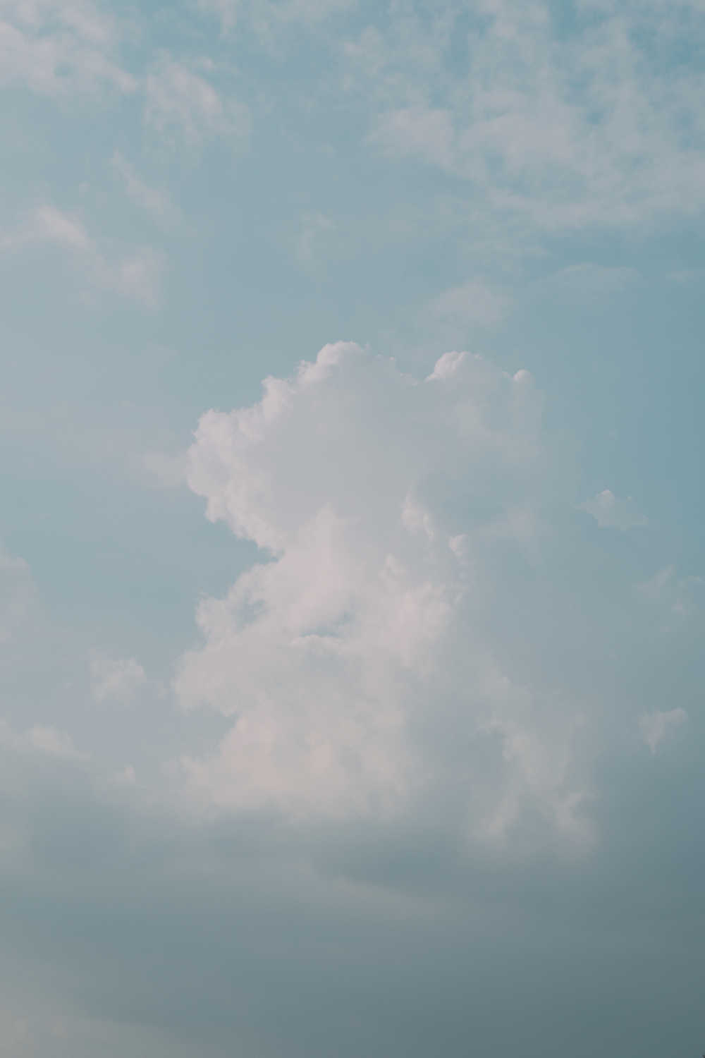温柔的棉花糖