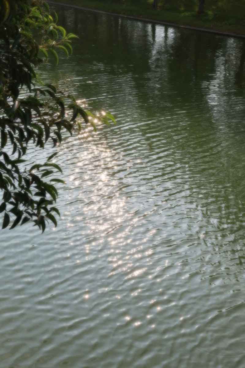 波光