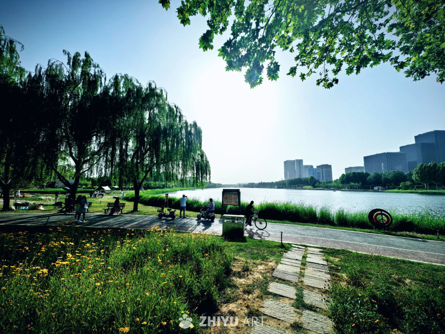 湖畔公园的悠闲时光